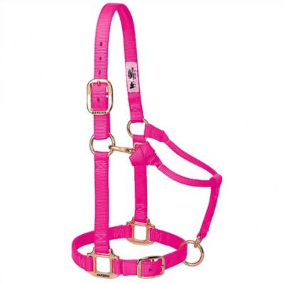 Weaver Halter Nylon Weanling Diva Pink