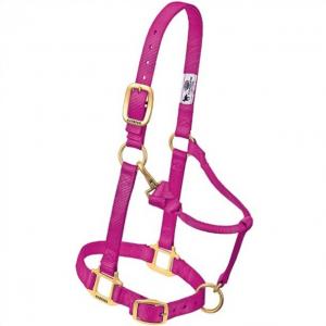 Weaver Halter Nylon Suckling Raspberry