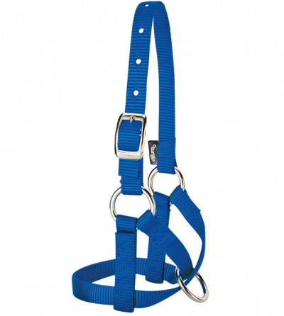 Weaver Alpaca Halter Average Blue