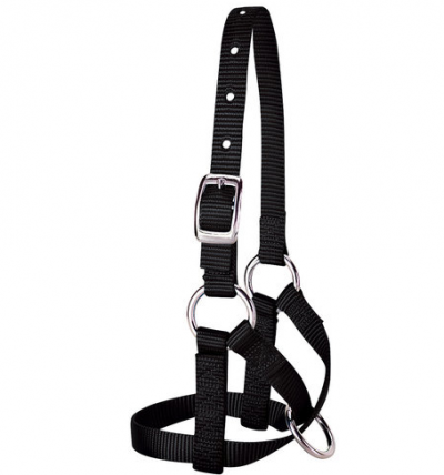 Weaver Alpaca Halter Average Black