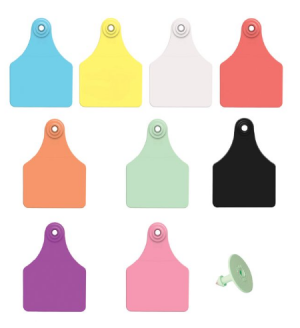 Allflex Eartags Complete Large Orange