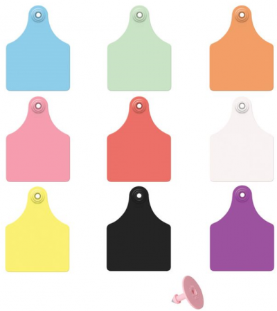 Allflex Eartags Complete Maxi Orange