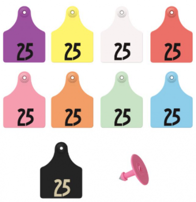 Allflex Eartags Complete Numbered 1-25 Maxi Orange