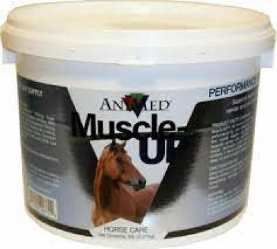 Animed Muscle-Up 5 lbs (Vitamins, Minerals & Misc)