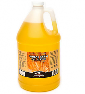 Wheat Germ Oil Gallon (Weight Gain)