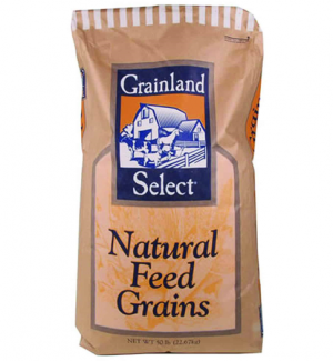 Whole Oats Recleaned 50 lbs (Grains)