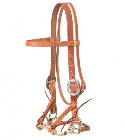 Weaver Bitless Bridle Horse Justin Dunn