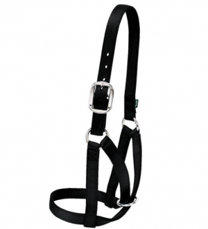 Weaver Cow Barn Halter Large Black