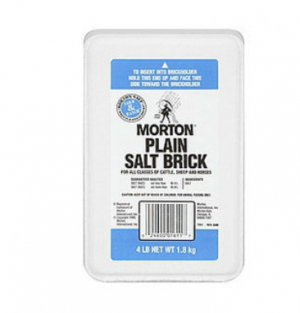 White Brick 4 lbs (Multi Species, Salt)