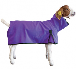 Weaver Goat Blanket Medium Purple