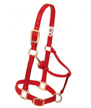 Weaver Halter Nylon Large Red