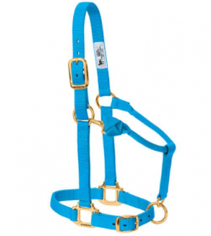 Weaver Halter Nylon Average Hurricane Blue