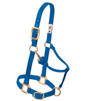 Weaver Halter Nylon Average Royal Blue