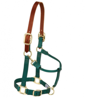 Weaver Halter Breakaway Small Hunter Green