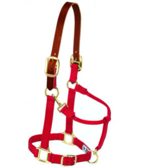 Weaver Halter Breakaway Average Red