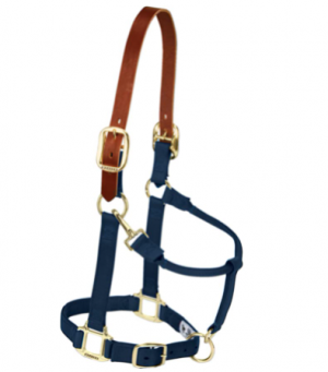 Weaver Halter Breakaway Large Navy