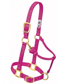 Weaver Halter Nylon Average Raspberry