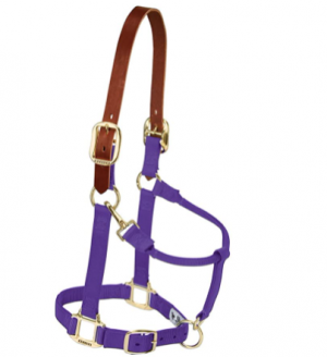 Weaver Halter Breakaway Average Purple