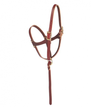 Weaver Halter Figure 8 Foal Leather