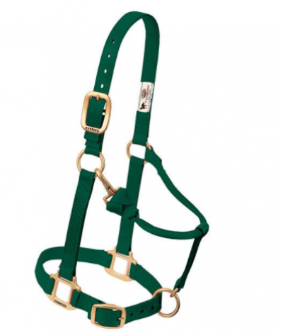 Weaver Halter Nylon Average Hunter Green