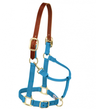 Weaver Halter Breakaway Large Hurricane Blue