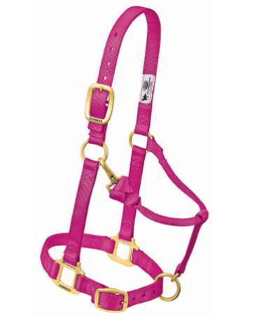 Weaver Halter Nylon Average Raspberry