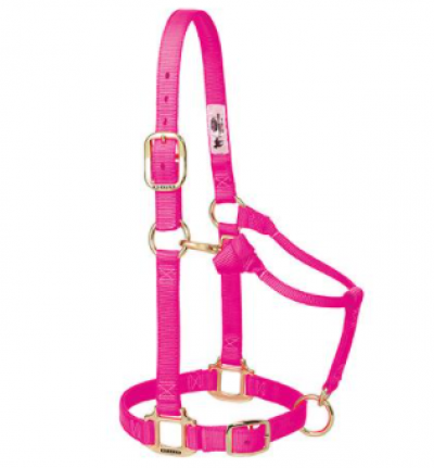 Weaver Halter Nylon Average Diva Pink