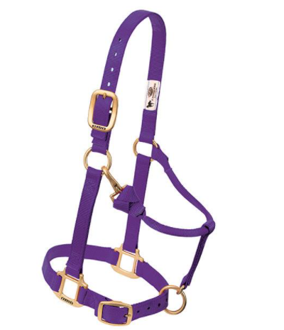 Weaver Halter Nylon Large Purple