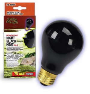Zilla Black Bulb 75W (Reptile Supplies)