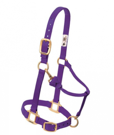 Weaver Halter Nylon Weanling Purple