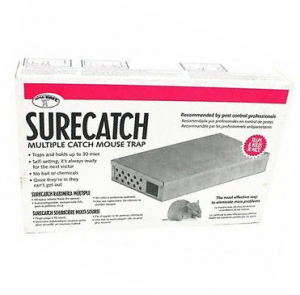 Surecatch Mouse Trap (Rat / Mouse / Rodent Control)