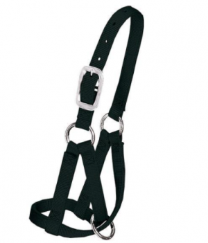 Weaver Llama Halter Full Black