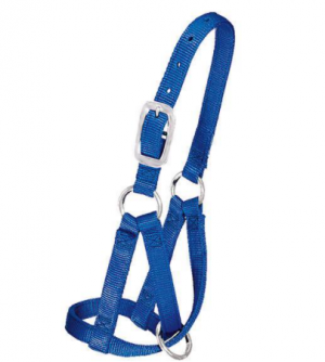 Weaver Llama Halter Full Blue