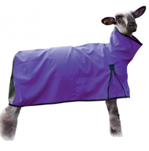 Weaver Sheep Blanket (Mesh) Medium Purple