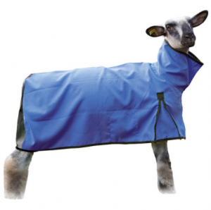 Weaver Sheep Blanket (Mesh) Large Blue