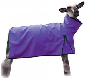 Weaver Sheep Blanket (Mesh) Large Purple