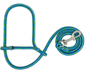 Weaver Sheep Rope Halter With Snap Lime/Hurricane Blue/Blue
