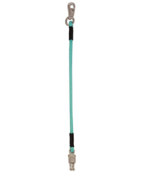 Weaver Trailer Tie Bungee Aqua Gray