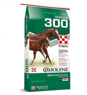 Omolene 300 50 lbs (Purina Horse Feed)
