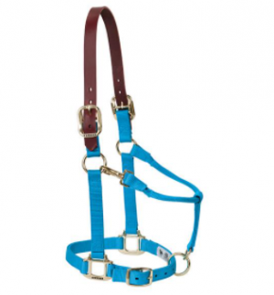 Weaver Halter Breakaway Average Hur Blue