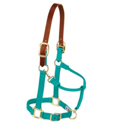 Weaver Halter Breakaway Large Emerald Green