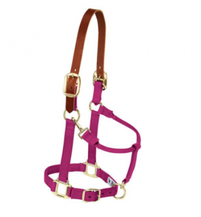 Weaver Halter Breakaway Large Raspberry