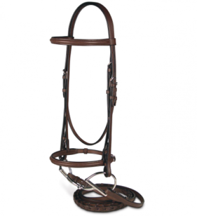 Passport Plain Raised Bridle Full