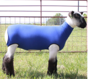 Lamb Tube Spandex Large Blue