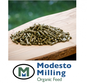 Modesto Milling Alfalfa Pellets 50 lbs