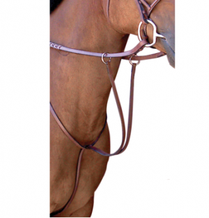 Passport Plain Raised Running Martingale Pony