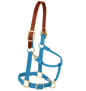 Weaver Halter Breakaway Small Hurricane Blue