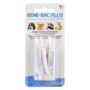 Bene-Bac Plus 4 G (Dog: Vitamins & Supplements)