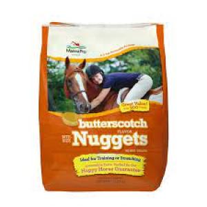 Bite Size Nuggets 4 lbs Butterscotch Horse Treats