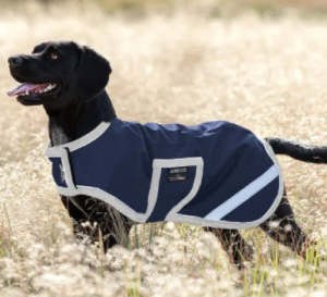 Amigo Dog Rug Medium Navy/Silver Dog Coat